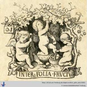 [Provenienz]: Jahn, Otto