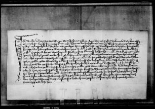 Ludwig von Melchingen, Johanniterkomthur zu Sulz, quittiert für 200 fl. ab 1000 fl. Hauptgut.