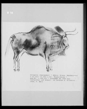 Wandmalerei in der Höhlenwohnung in der Altamira-Höhle: Bison