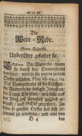 Die Wein-Rebe