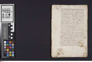 Zwingenberg: Landgraf Ludwig V. bestätigt den zwischen Zwingenberg und Auerbach geschlossenen Vertrag vom 20.3.1593 (Viehtrieb- u. .... rechte etc.)