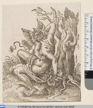 Venus und Amor, ringend