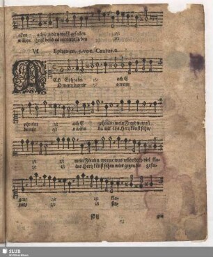 VI. Ach Ephraim