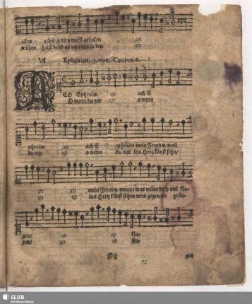 VI. Ach Ephraim