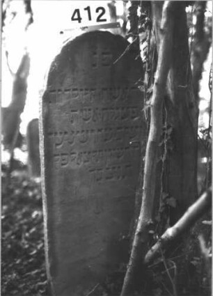 Grabstein 412 (Index: 99898281) Material: Sandstein Zustand: leicht angewittert Maße HxBxT: 116x44x8 cm Beschreibung: Stele mit leicht eingezogenem Rundbogenabschluss: Grabstein 412