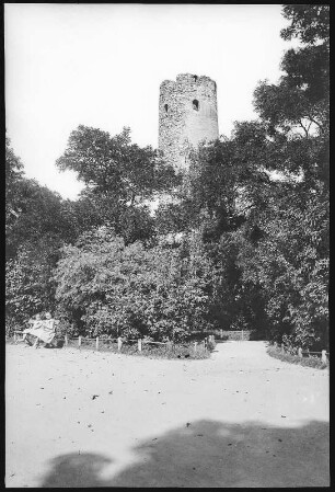 Oschatz. Alter Stadtturm