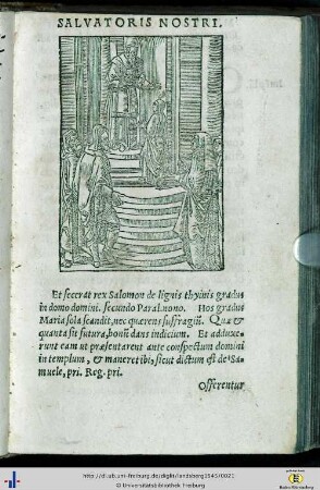 Theoria 11 - 20