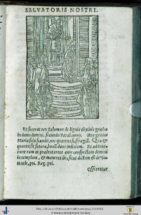 Theoria 11 - 20