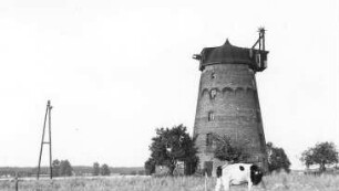Elbe-Parey-Güsen. Mühle Fricke, Turmholländer, Baujahr 1927
