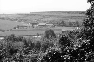 Landeck: Ausblick von der Burgruine