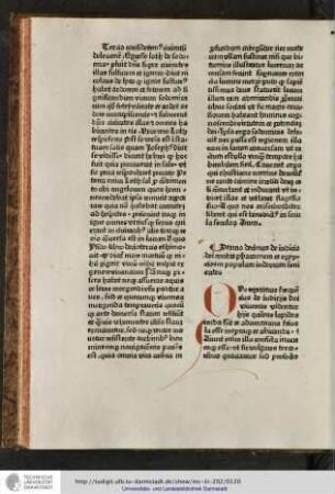 Predigt 10.