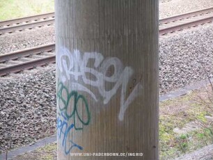 .RASeN