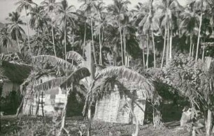 Reisefotos. Hütten unter Palmen (wahrscheinlich auf Haiti)