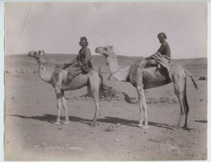 Kameltreiber, Ägypten: Ansicht