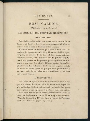 73-76, Rosa Gallica (Officinalis.) Le Rosier de Provins Ordinaire.
