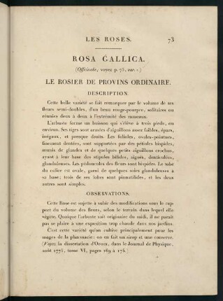 73-76, Rosa Gallica (Officinalis.) Le Rosier de Provins Ordinaire.