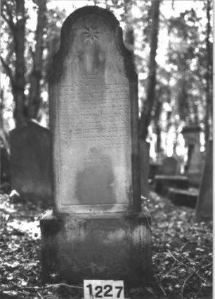 Grabstein 1227 (Index: 99900011) Material: Sandstein Zustand: etwas angewittert Maße HxBxT: 148x47x21 cm Beschreibung: aufgesockelte Stele mit mehrfach geschweiftem Bogenabschluss, im Bogenfeld Stern Symbolik: Stern: Grabstein 1227