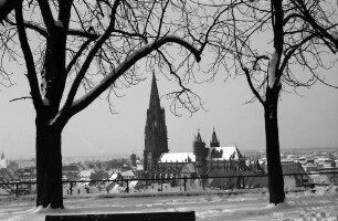 Freiburg: Blick vom Schlossberg (Kanonenplatz) aufs Münster