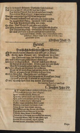 Sonnet an Den höchst-bestürzten Herrn Wittber.