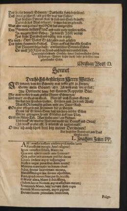 Sonnet an Den höchst-bestürzten Herrn Wittber.
