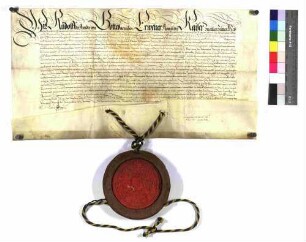 Kaiser Rudolf II. belehnt den Bevollmächtigten des Schenk Heinrich, Magister Heinrich Johann Stechmann mit dem Erbschenkenamt.
