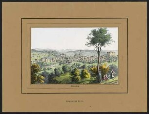 Tübingen. Ansicht von Nordwesten : Kolorierte Lithographie