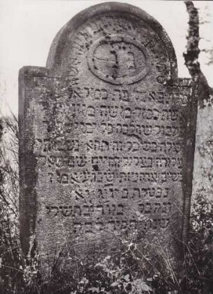 Judenfriedhof. Grabstein
