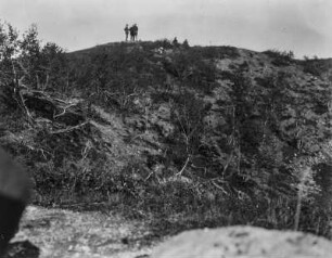 Landschaft : Landschaft mit Birkenwald