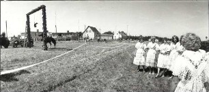 Erntebrauch in Tauer : Gesellschaftliche Volkskultur - Herbst. Ort: Turjej / Tauer. Hahnrupfen (łapanje kokota). Vgl. Lětopis C 27 (1984).