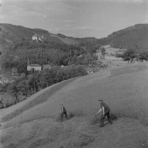 Bei Leutenberg (Kreis Saalfeld). Thüringer Wald, Männer beim Sensen