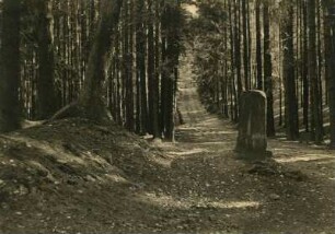 Kaiserslautern:Schallbrunnertal, Waldweg mit Grenzstein. Abtsstab von Otterberg