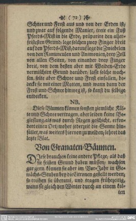 Von Granaten-Bäumen