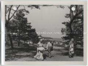 Usedom, Karlshagen, Waldspaziergang