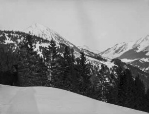 Alpine Landschaft : Schneebedeckte Berglandschaft mit Bergwald in den südwestlichen Alpen