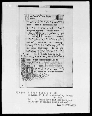 Graduale (Benediktinerhandschrift) — Initiale D(ominus dicit ad me) mit anschließender Ranke, Folio 11recto