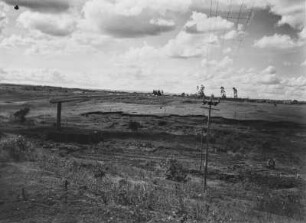 Savanne : Savannenlandschaft