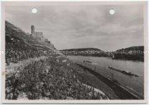 Rüdesheim am Rhein, Burgruine Ehrenfels