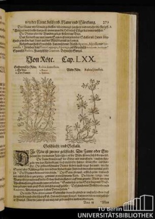 Cap. LXX. Von Roete.