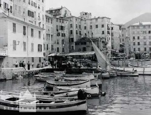 "Camogli. Ein echtes ""Seeräubernest""" : Camogli. Hafen mit Booten