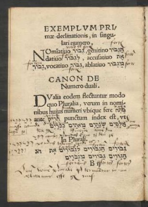 Exemplum Primae declinationis, ...