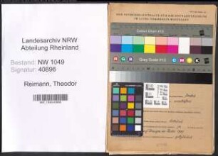 Entnazifizierung Theodor Reimann , geb. 16.08.1889 (Haendler)