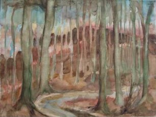 Buchenwald im Herbst