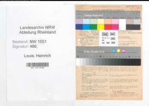 Entnazifizierung Heinrich Louis , geb. 30.08.1898 (Vermessungstechniker)