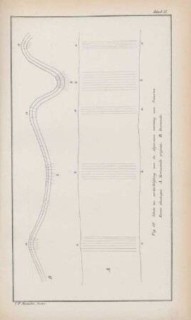 Blad 17. Fig. 50. Schets ter verduidelijking van de algemeen vorming van Sumatra. ...