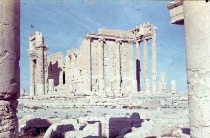 Palmyra Bel-Tp von S. W.