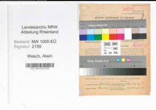Entnazifizierung Alwin Wesch, geb. 15.06.1899 (Kaufmann)