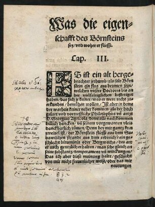 Was die eigenschafft des Börnsteins sey/ und woher er fliesse. Cap. III.