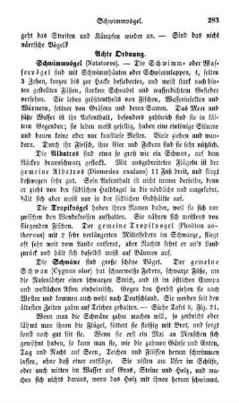 Achte Ordnung. Schwimmvögel (Natatores)
