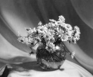 Vase mit Margeriten