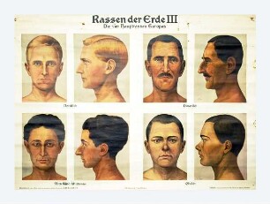 Rassen der Erde III